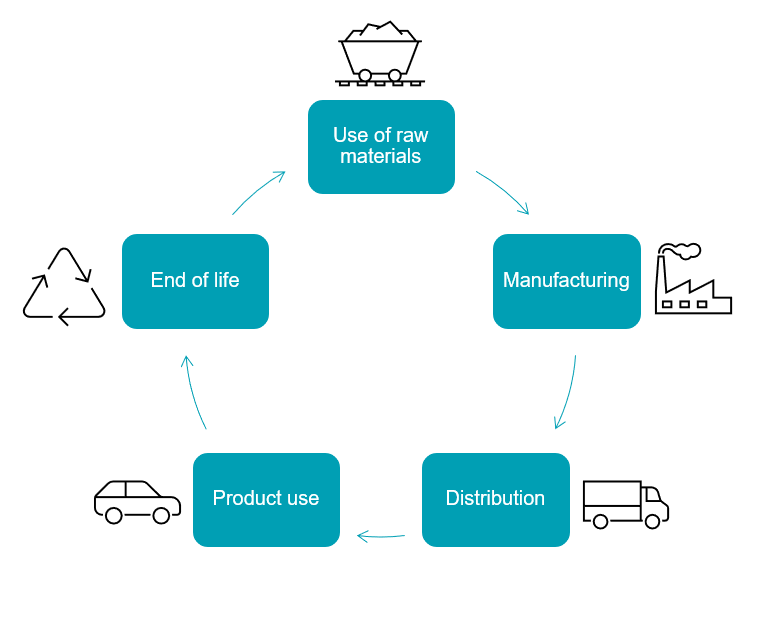 Lifecycle